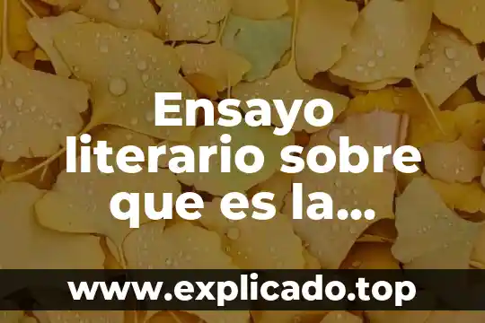 Ensayo literario sobre que es la filosofía de vida