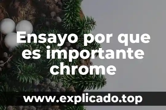 Por que es importante navegar de manera segura en internet 3 Ensayo por que es importante chrome