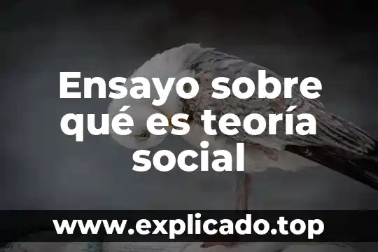 Que es la teoria de paciolo 3 Ensayo sobre qué es teoría social
