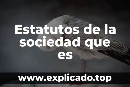 Que es la sociedad tredisional de trabajo villa frontera 8 Estatutos de la sociedad que es