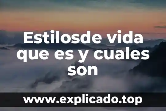 Que es un navegador y cuales son los mas utilizados 8 Estilosde vida que es y cuales son