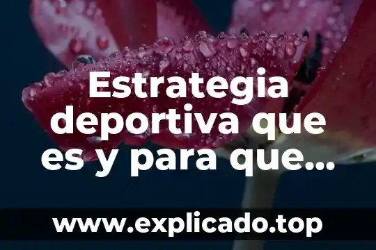 Que es un plano y que nos muestra 6 Estrategia deportiva que es y para que nos sirve