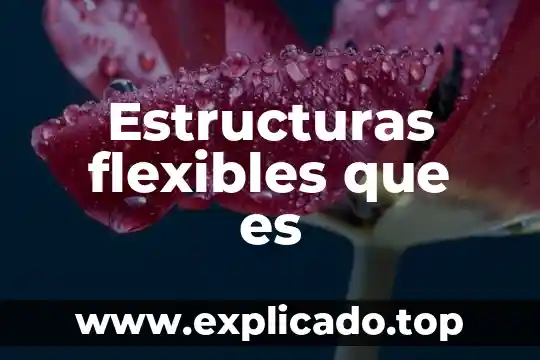 En estructuras que es el o 6 Estructuras flexibles que es