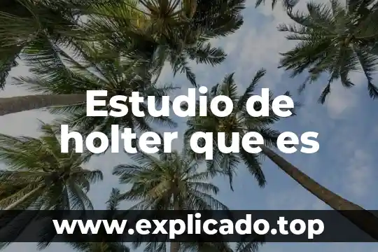 Estudio de holter que es