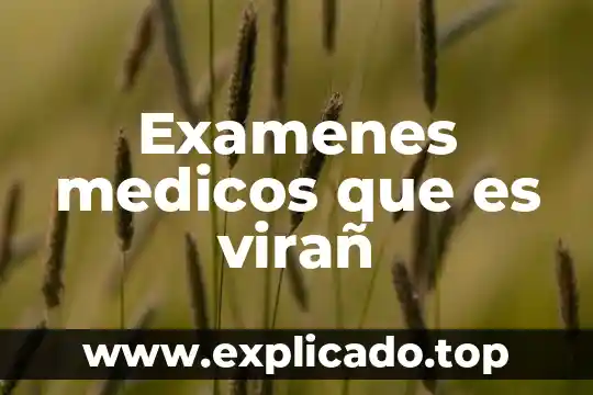 En términos médicos qué es vehículo 3 Examenes medicos que es virañ