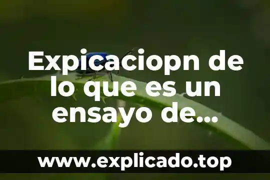 Desarrollo que es en un ensayo 4 Expicaciopn de lo que es un ensayo de dureza