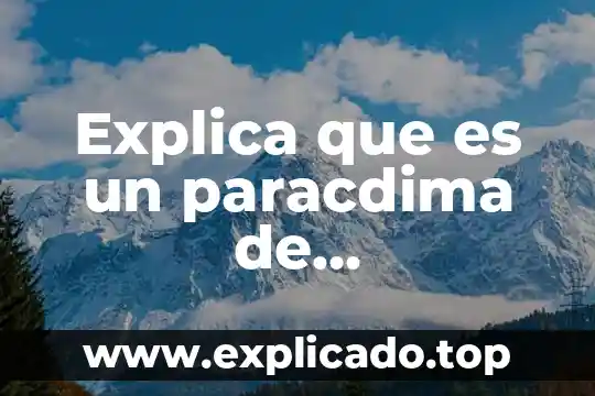 Que es el agua declorada 3 Explica que es un paracdima de programacion