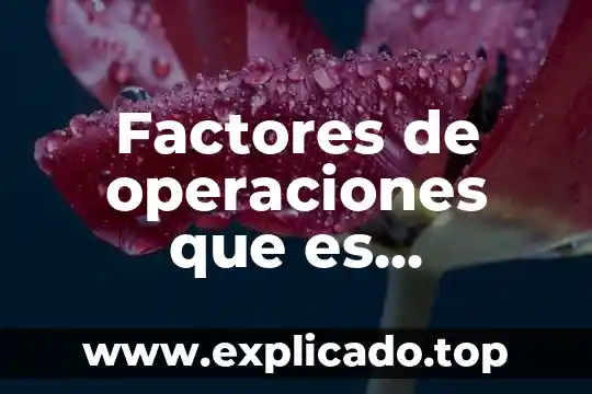 Que es un proceso de investigacion de operaciones 6 Factores de operaciones que es actividad productiva