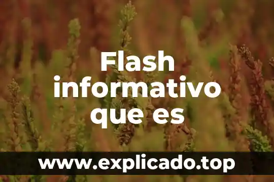 Que es gestor y tecnico del departamento de recursos 4 Flash informativo que es
