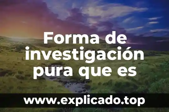 Que es la forma del razonamiento 6 Forma de investigación pura que es