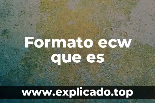 Que es reconocimiento del formato del enunciado 6 Formato ecw que es