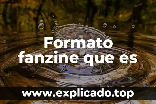 Para que es el formato ds 5535 7 Formato fanzine que es