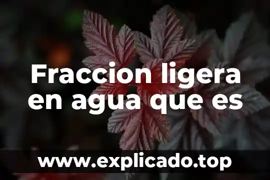 ¿Qué es un fluido en corriente de agua? 5 Fraccion ligera en agua que es