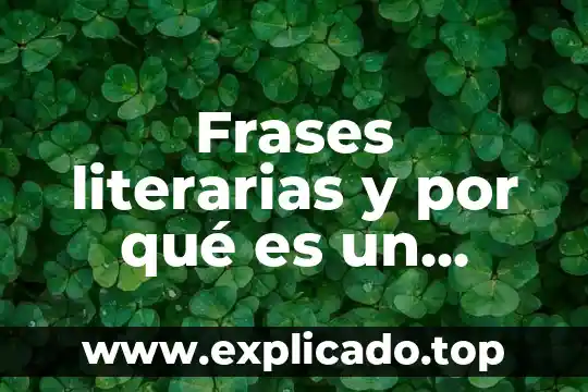Que es el conocimiento frases 8 Frases literarias y por qué es un texto literario