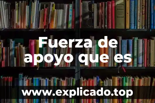 Que es apoyo en administracion 6 Fuerza de apoyo que es
