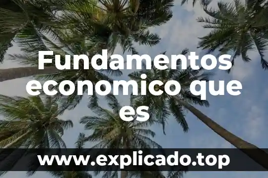 Para que es la materia fundamentos de la investigacion 5 Fundamentos economico que es