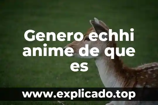 Genero echhi anime de que es