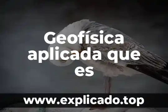 Que es la biotecnologia aplicada en la agricultura 3 Geofísica aplicada que es