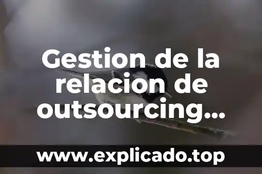 Outsourcing que es en economía 6 Gestion de la relacion de outsourcing que es