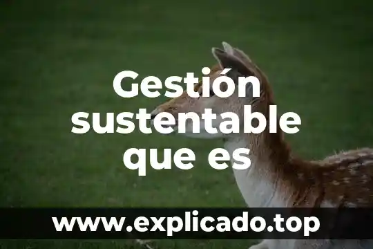 Que es gestion y manejo de la informacion 6 Gestión sustentable que es