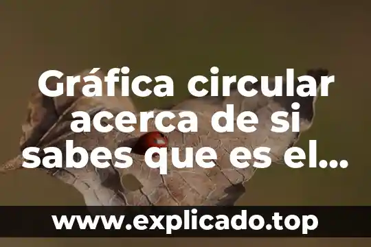 Sabes que es verdad lo sabes lo sabes lo sabes 4 Gráfica circular acerca de si sabes que es el bullying