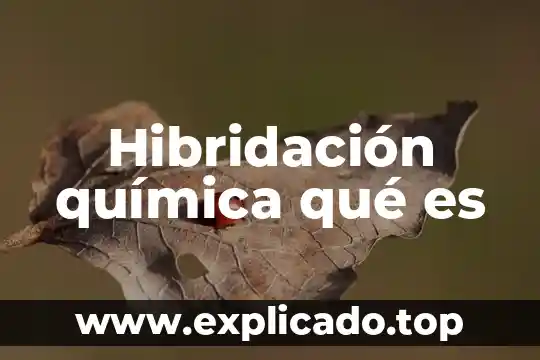Hibridación química qué es