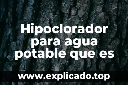 Que es una fuente de agua potable 4 Hipoclorador para agua potable que es