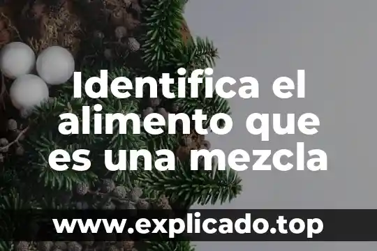 Que es una rebaja en un alimento 8 Identifica el alimento que es una mezcla