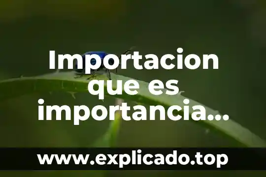 Qué es la patrística y su importancia 3 Importacion que es importancia caracteristicas objetivo