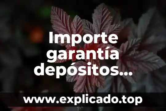 Que es importe de interses 5 Importe garantía depósitos bancarios que es