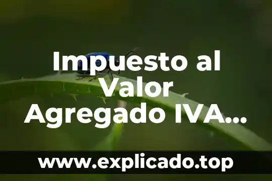 Que es dar valor agregado a al ganado 6 Impuesto al Valor Agregado IVA qué es