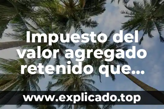 Que es dar valor agregado a al ganado 5 Impuesto del valor agregado retenido que es