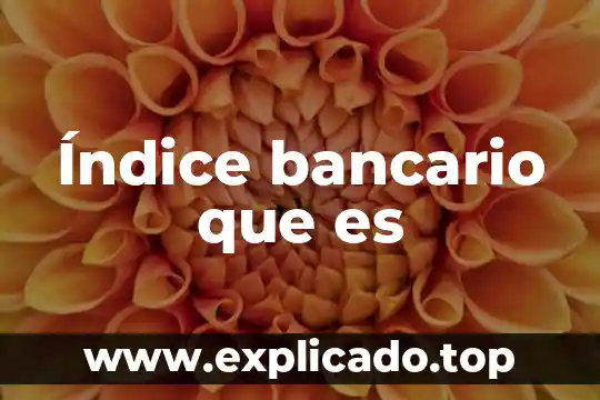 Índice bancario que es
