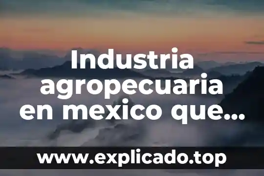 Que es la administracion agropecuaria 6 Industria agropecuaria en mexico que es