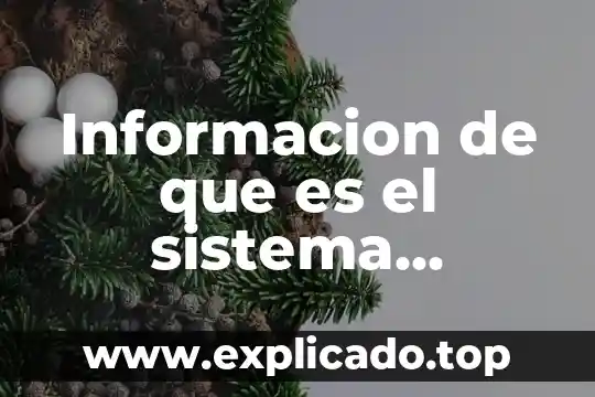 Qué es el sistema inmunológico y de cómo nos protege 3 Informacion de que es el sistema inmunologico