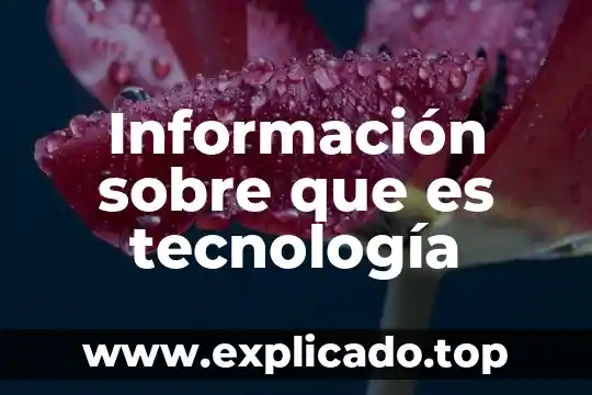 Qué es una tecnología limpia ejemplos 7 Información sobre que es tecnología