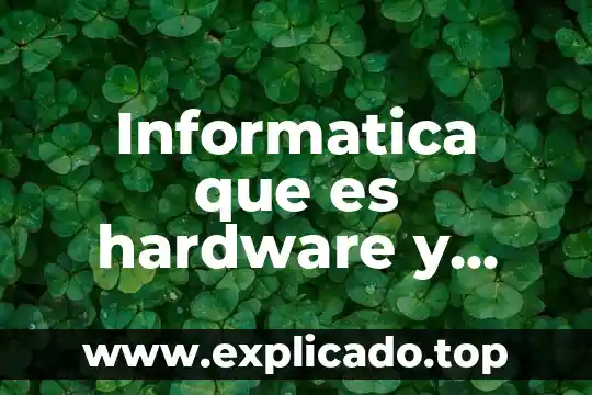 Consultoria de servicios de software que es 5 Informatica que es hardware y software