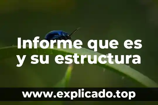 Que es un informe de lectura descriptivo 8 Informe que es y su estructura