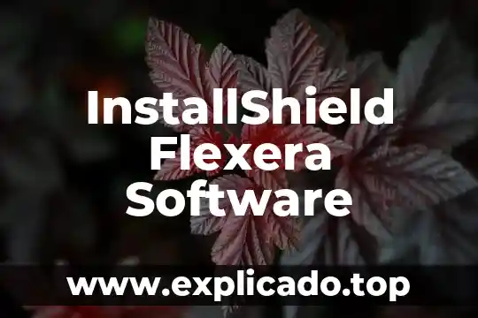 Software de edición de imágenes que es 4 InstallShield Flexera Software