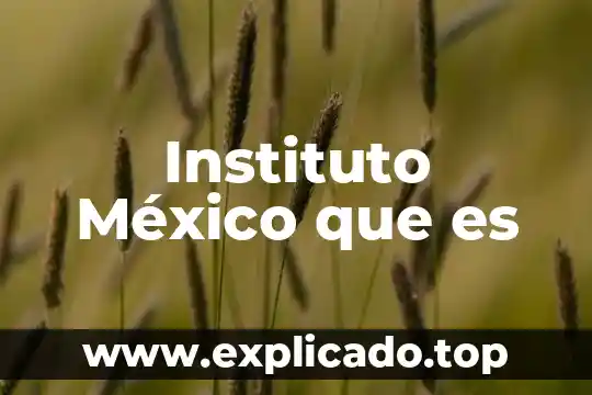 Que es la geriatria segun el instituto nacional de geriatria 8 Instituto México que es