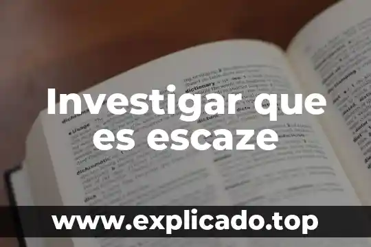 Investigar que es un colmena 5 Investigar que es escaze