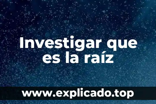 Raíz ambiental que es 5 Investigar que es la raíz