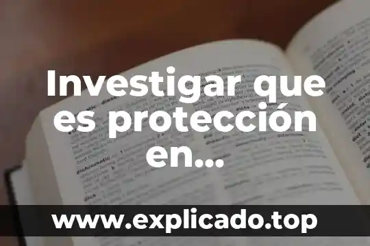 Qué es el derecho a la protección especial 6 Investigar que es protección en programación
