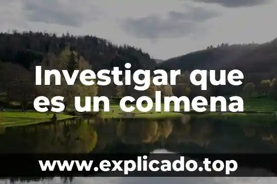 Investigar qué es un recado y su ejemplo 3 Investigar que es un colmena