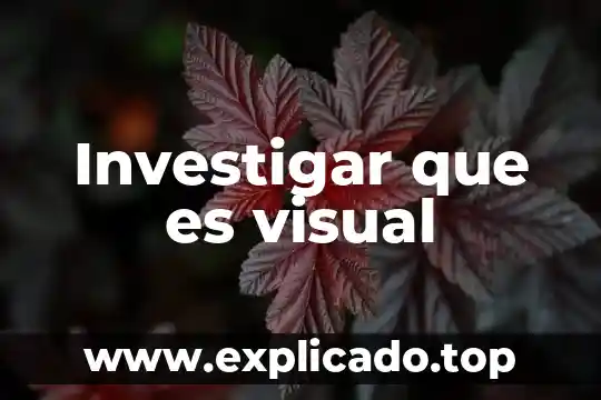 Investigar que es una formula en excel 7 Investigar que es visual