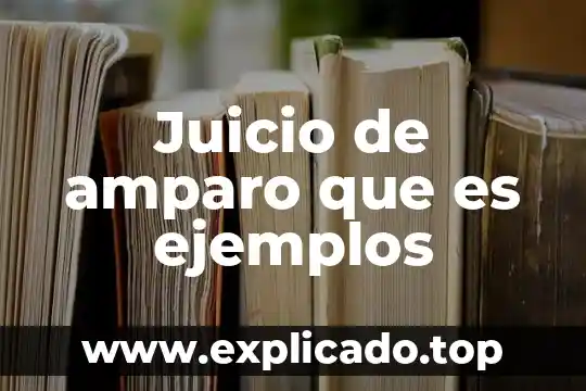Por que es recurso o juicio de amparo 5 Juicio de amparo que es ejemplos