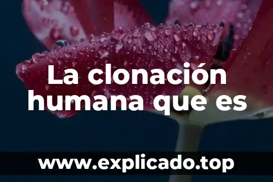 La clonación humana que es