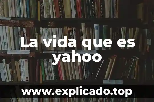Qué es vida útil de un proyecto 4 La vida que es yahoo