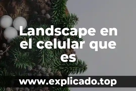 Que es el id del celular 3 Landscape en el celular que es