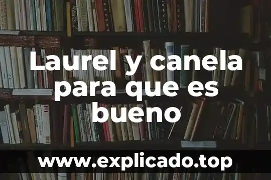 Para que es buena la canela 5 Laurel y canela para que es bueno